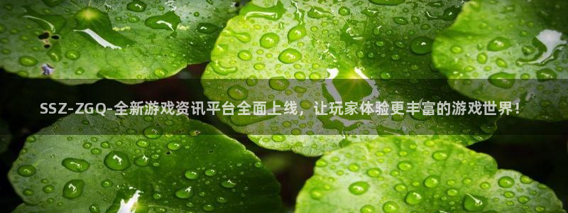 辉达娱乐下载链接：SSZ-ZGQ-全新游戏资讯平台全面上线，