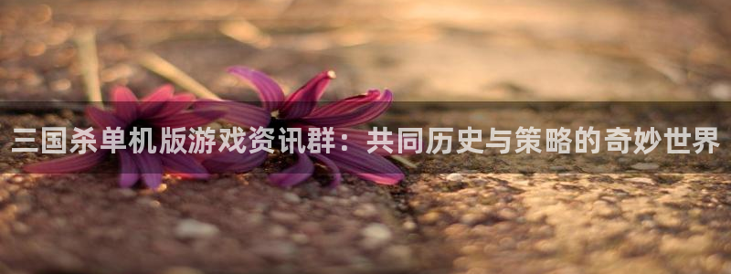 辉达娱乐注册测速：三国杀单机版游戏资讯群：共同历史与策略的奇