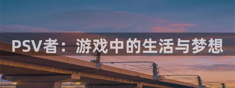 辉达娱乐登录网址：PSV者：游戏中的生活与梦想