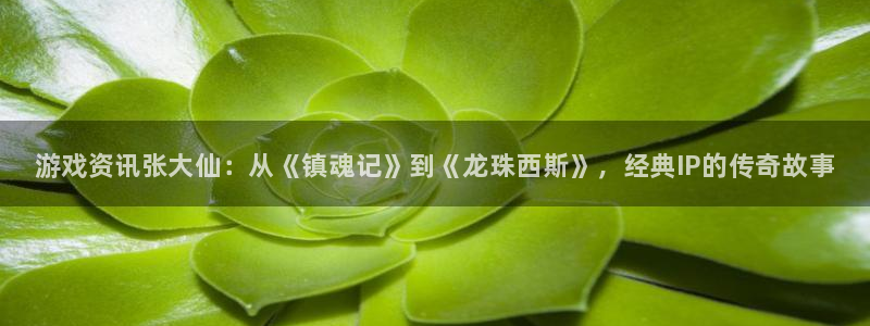 辉达娱乐平台官网入口：游戏资讯张大仙：从《镇魂记》到《龙珠西
