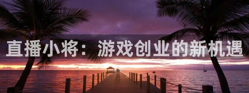 辉达娱乐登录：直播小将：游戏创业的新机遇