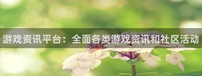 辉达娱乐注册服务条款：游戏资讯平台：全面各类游戏资讯和社区活