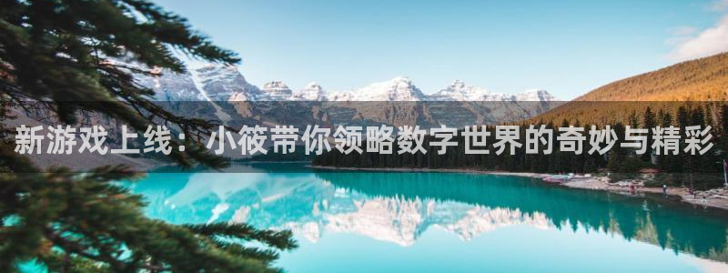 辉达娱乐平台官网注册：新游戏上线：小筱带你领略数字世界的奇妙
