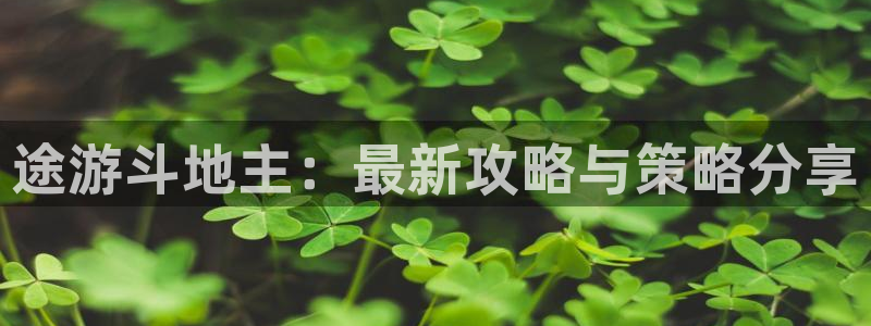 辉达娱乐注册登录平台：途游斗地主：最新攻略与策略分享