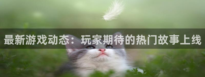 辉达娱乐测速登陆：最新游戏动态：玩家期待的热门故事上线