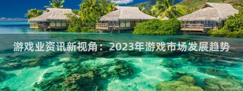 辉达娱乐登录网址：游戏业资讯新视角：2023年游戏市场发展趋